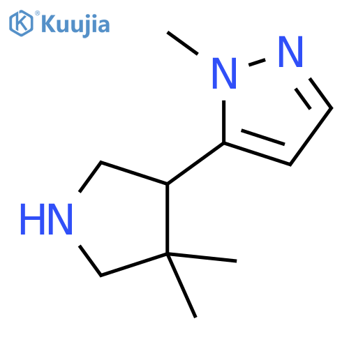 5-(4,4-dimethylpyrrolidin-3-yl)-1-methyl-1H-pyrazole structure