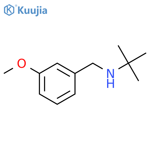 tert-butyl(3-methoxyphenyl)methylamine structure