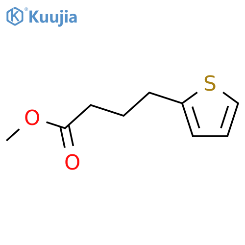 methyl 4-(thiophen-2-yl)butanoate structure