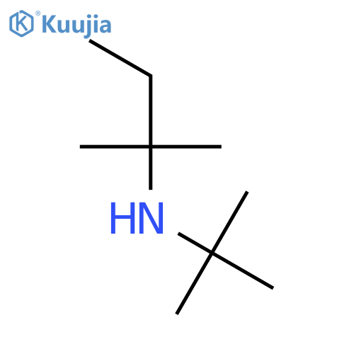 2-Butanamine,N-(1,1-dimethylethyl)-2-methyl- structure