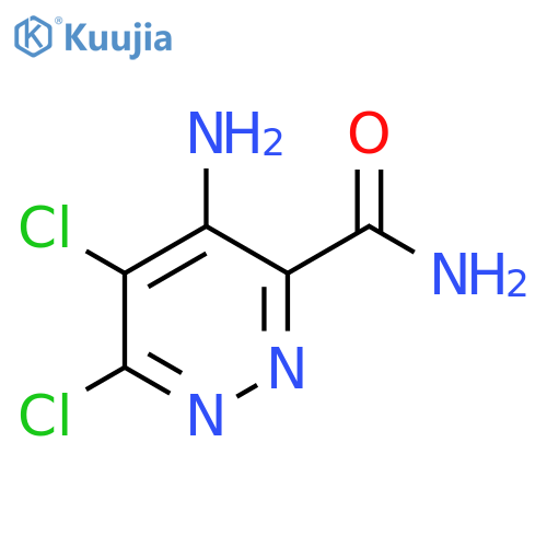 4-amino-5,6-dichloropyridazine-3-carboxamide structure