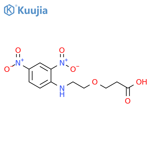 3-(2-((2,4-dinitrophenyl)amino)ethoxy)propanoic acid structure
