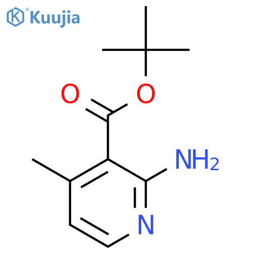 tert-Butyl 2-amino-4-methylnicotinate structure