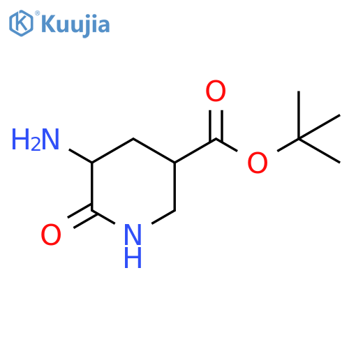 tert-butyl 5-amino-6-oxopiperidine-3-carboxylate structure