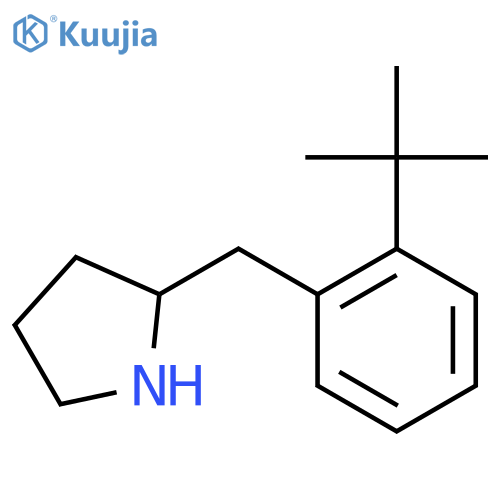 2-(2-tert-butylphenyl)methylpyrrolidine structure