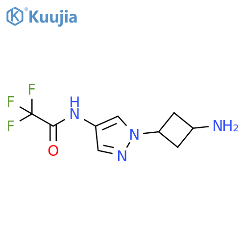 Acetamide, N-[1-(3-aminocyclobutyl)-1H-pyrazol-4-yl]-2,2,2-trifluoro- structure