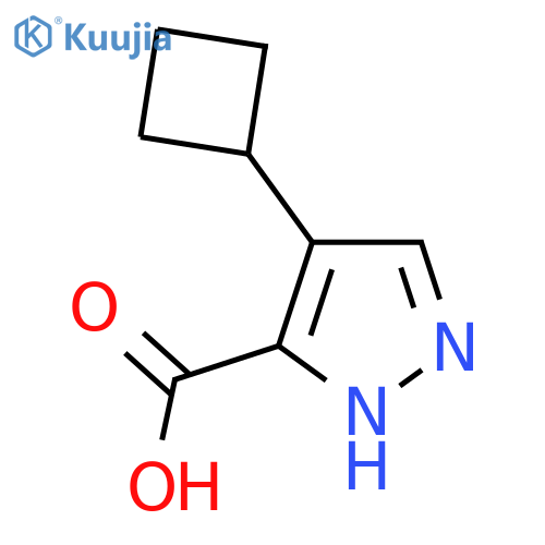 4-Cyclobutyl-1H-pyrazole-5-carboxylic acid structure