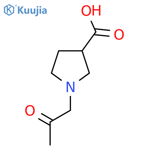 1-(2-Oxopropyl)pyrrolidine-3-carboxylic acid structure