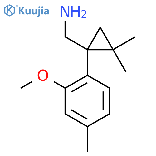 1-(2-methoxy-4-methylphenyl)-2,2-dimethylcyclopropylmethanamine structure