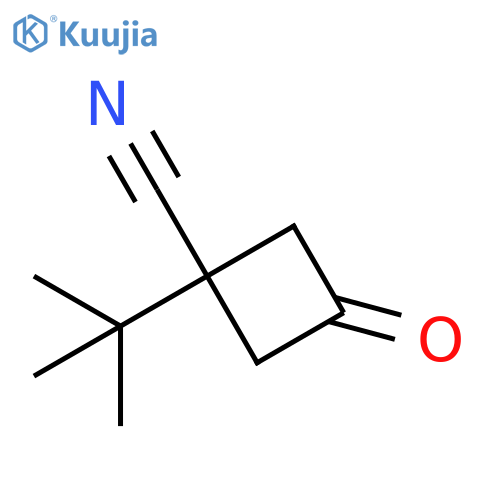 1-tert-butyl-3-oxocyclobutane-1-carbonitrile structure