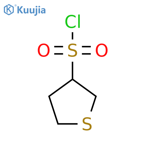thiolane-3-sulfonyl chloride structure
