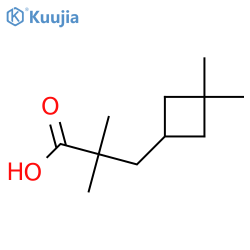 3-(3,3-Dimethylcyclobutyl)-2,2-dimethylpropanoic acid structure
