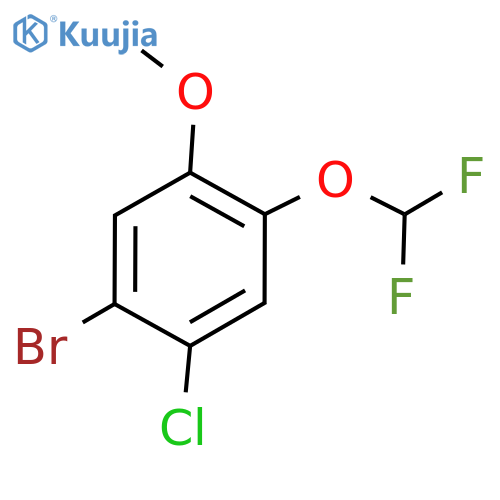 1-Bromo-2-chloro-4-(difluoromethoxy)-5-methoxybenzene structure