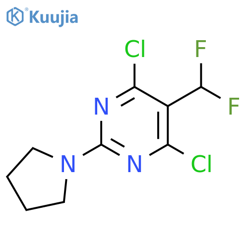 4,6-Dichloro-5-(difluoromethyl)-2-pyrrolidin-1-yl-pyrimidine structure