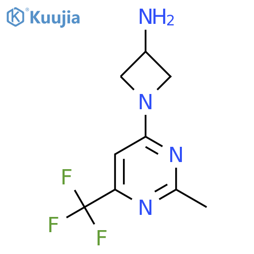 1-(2-Methyl-6-(trifluoromethyl)pyrimidin-4-yl)azetidin-3-amine structure