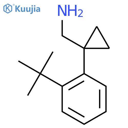 1-(2-tert-butylphenyl)cyclopropylmethanamine structure