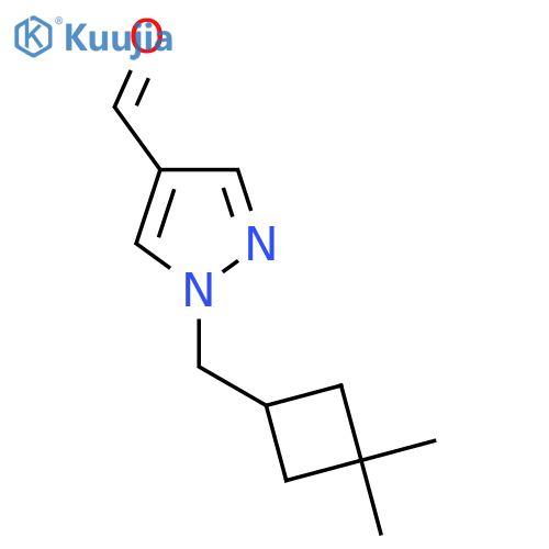1-(3,3-dimethylcyclobutyl)methyl-1H-pyrazole-4-carbaldehyde structure