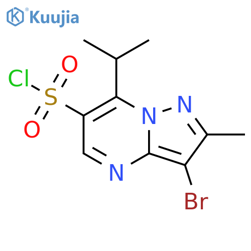 3-bromo-2-methyl-7-(propan-2-yl)pyrazolo1,5-apyrimidine-6-sulfonyl chloride structure