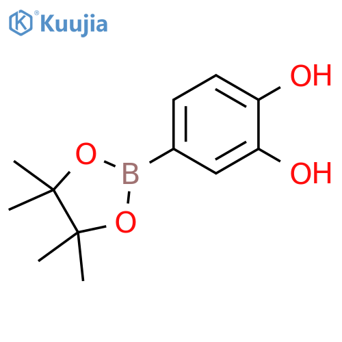 1,2-Benzenediol, 4-(4,4,5,5-tetramethyl-1,3,2-dioxaborolan-2-yl)- structure