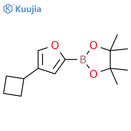 1,3,2-Dioxaborolane, 2-(4-cyclobutyl-2-furanyl)-4,4,5,5-tetramethyl- structure