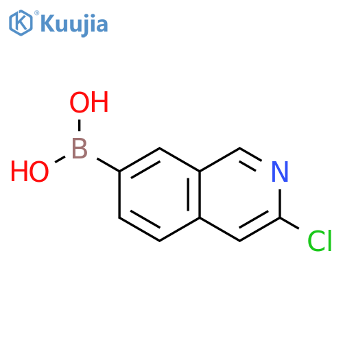 (3-chloro-7-isoquinolyl)boronic acid structure