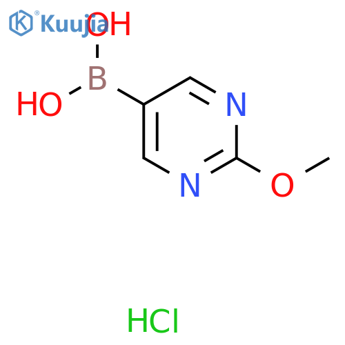 2-Methoxypyrimidine-5-boronic acid HCl structure