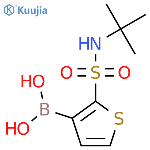 2-(t-Butylsulfamoyl)thiophene-3-boronic acid structure