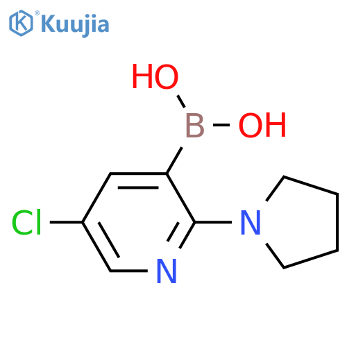 5-Chloro-2-pyrrolidinopyridine-3-boronic acid structure
