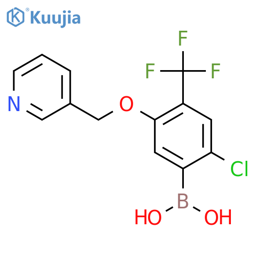 [2-Chloro-5-(pyridin-3-ylmethoxy)-4-(trifluoromethyl)phenyl]boronic acid structure