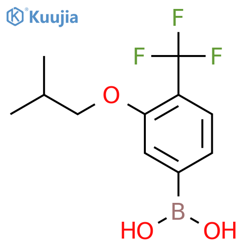 3-Isobutoxy-4-(trifluoromethyl)phenylboronic acid structure