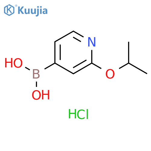 Boronic acid, B-[2-(1-methylethoxy)-4-pyridinyl]-, hydrochloride (1:1) structure