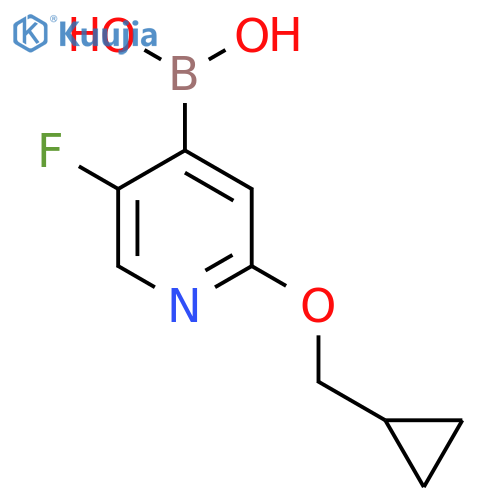 2-(Cyclopropylmethoxy)-5-fluoropyridine-4-boronic acid structure
