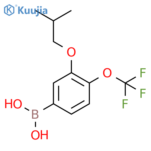 3-Isobutoxy-4-(trifluoromethoxy)phenylboronic acid structure