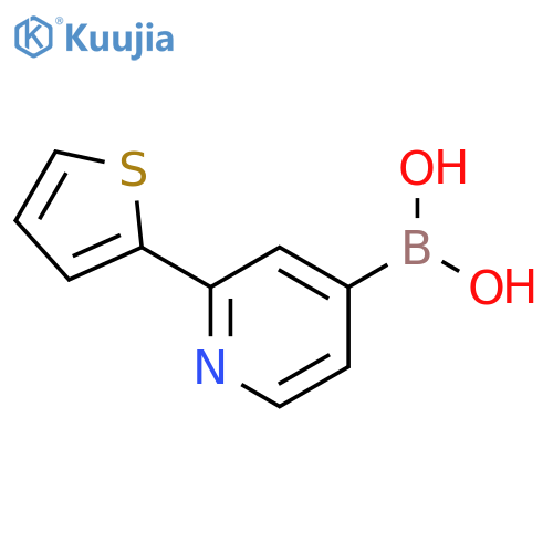 2-(thiophen-2-yl)pyridin-4-ylboronic acid structure