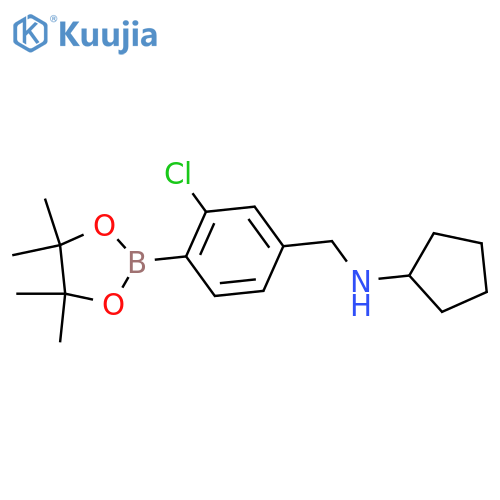 2-Chloro-4-(N-cyclopentylaminomethyl)phenylboronic acid, pinacol ester structure