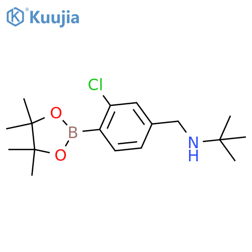 2-Chloro-4-(N-t-butylaminomethyl)phenylboronic acid, pinacol ester structure