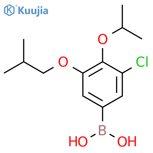 3-Chloro-4-isopropoxy-5-isobutoxyphenylboronic acid structure
