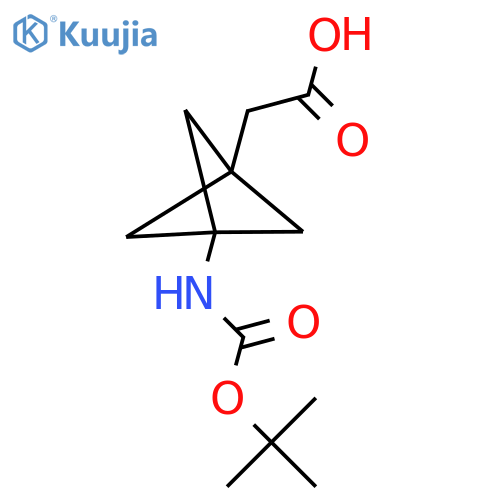 2-(3-{[(Tert-butoxy)carbonyl]amino}bicyclo[1.1.1]pentan-1-yl)acetic acid structure