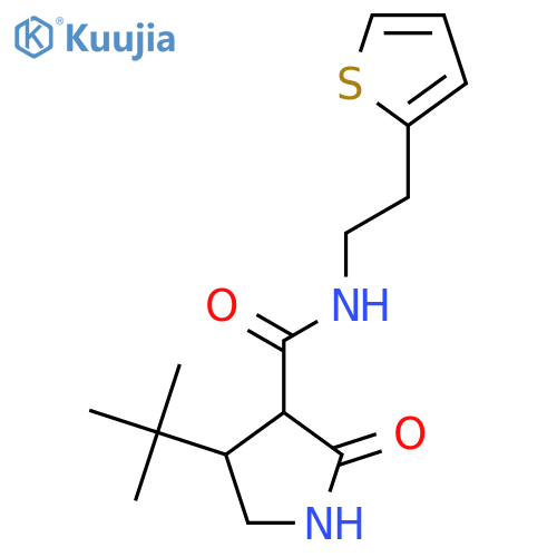 4-tert-butyl-2-oxo-N-[2-(thiophen-2-yl)ethyl]pyrrolidine-3-carboxamide structure