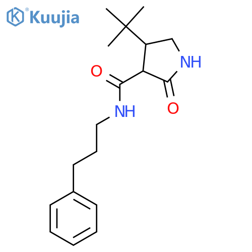 4-tert-butyl-2-oxo-N-(3-phenylpropyl)pyrrolidine-3-carboxamide structure