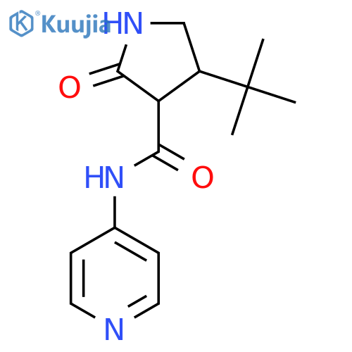 4-tert-butyl-2-oxo-N-(pyridin-4-yl)pyrrolidine-3-carboxamide structure