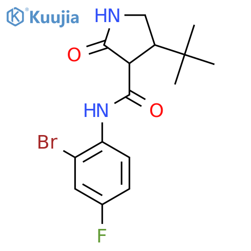 N-(2-bromo-4-fluorophenyl)-4-tert-butyl-2-oxopyrrolidine-3-carboxamide structure