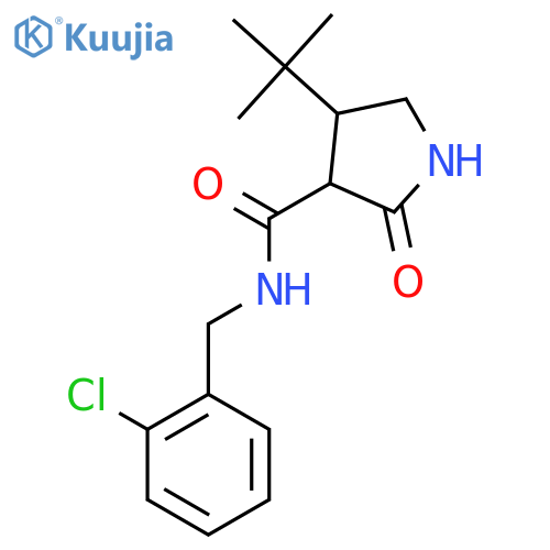4-tert-butyl-N-[(2-chlorophenyl)methyl]-2-oxopyrrolidine-3-carboxamide structure