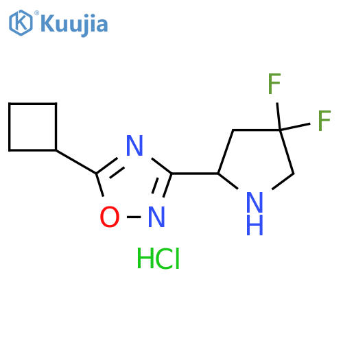 5-Cyclobutyl-3-(4,4-difluoropyrrolidin-2-yl)-1,2,4-oxadiazole hydrochloride structure