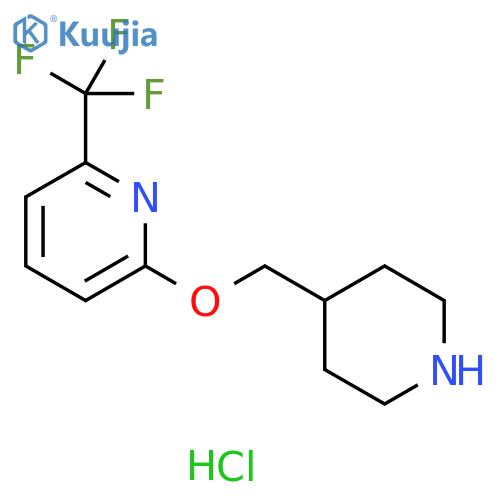 2-[(Piperidin-4-yl)methoxy]-6-(trifluoromethyl)pyridine hydrochloride structure