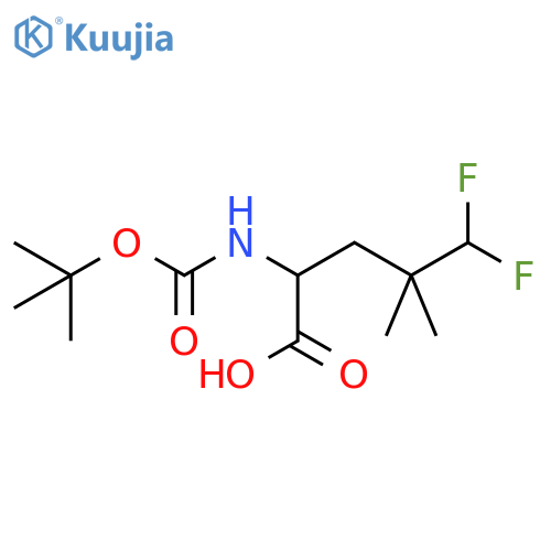 2-{(tert-butoxy)carbonylamino}-5,5-difluoro-4,4-dimethylpentanoic acid structure
