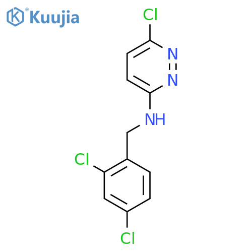 6-chloro-N-(2,4-dichlorobenzyl)pyridazin-3-amine structure