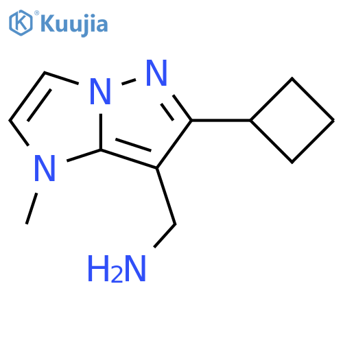 (6-cyclobutyl-1-methyl-1H-imidazo[1,2-b]pyrazol-7-yl)methanamine structure