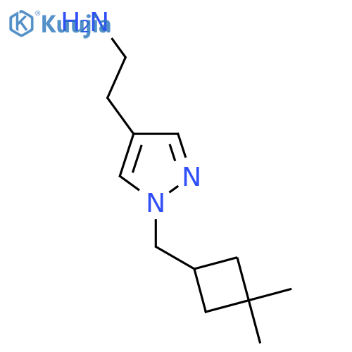2-{1-[(3,3-dimethylcyclobutyl)methyl]-1H-pyrazol-4-yl}ethan-1-amine structure
