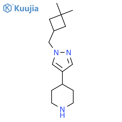 4-{1-[(3,3-dimethylcyclobutyl)methyl]-1H-pyrazol-4-yl}piperidine structure